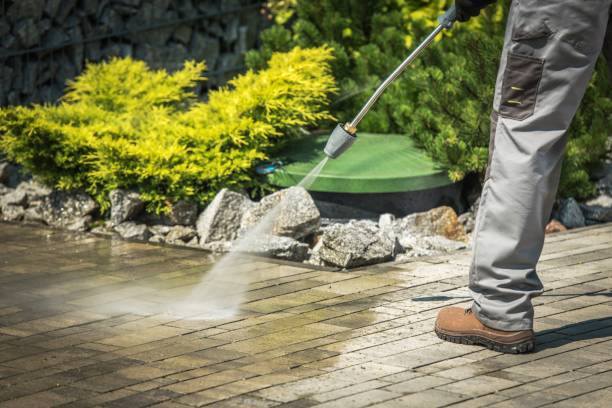 Best Pre-Holiday Cleaning  in Westchase, FL