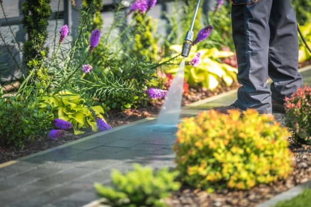 Best Dumpster Area Cleaning  in Westchase, FL