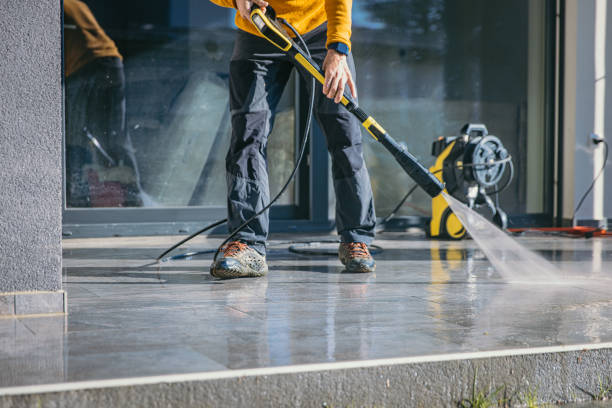 Best Gutter Cleaning  in Westchase, FL