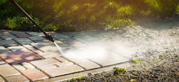 Best Rust Removal  in Westchase, FL